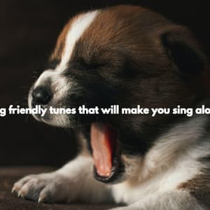 Dog friendly tunes that will make you sing along - Music for Dogs Moments