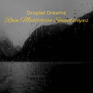 Droplet Dreams: Rain Meditation Soundscapes - Soft Sounds