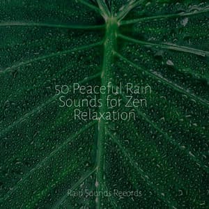 50 Peaceful Rain Sounds for Zen Relaxation - Rain For Deep Sleep