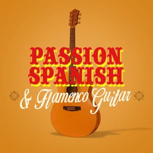 Passion: Spanish & Flamenco Guitar - Latin Passion