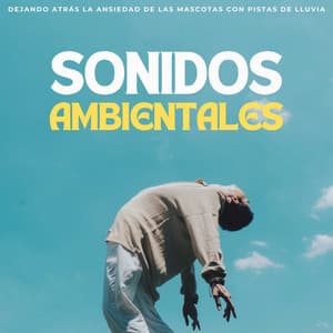 Sonidos Ambientales: Dejando Atrás La Ansiedad De Las Mascotas Con Pistas De Lluvia - Silenciador de Ruido