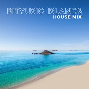 Pityusic Islands House Mix: Ibiza Beach Party, Unforgettable Summer 2024, Tropical Deep House - Beach Party Chillout Music Ensemble