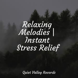 Relaxing Melodies | Instant Stress Relief - Pink Noise