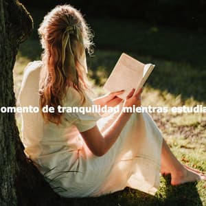 Momento de tranquilidad mientras estudias - Música Moderna para Cafeterías