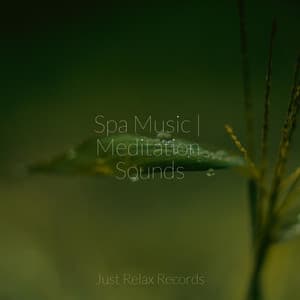 Spa Music | Meditation Sounds - CANCIONES DE CUNA