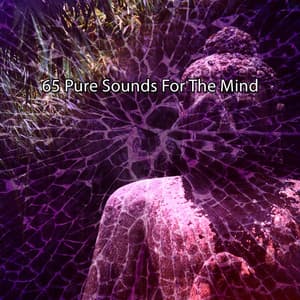 65 Pure Sounds For The Mind - Zen Meditate