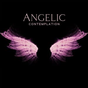 Angelic Contemplation: Background Music for Bible Study with Angel Choirs, Archangel Spiritual Protection, Prayer Sounds - Bible Study Music