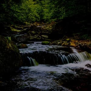 Sacred Streams: Meditation and Mindfulness - Brainwave Music