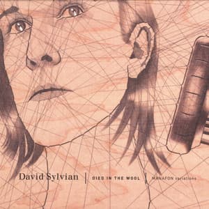 Died In The Wool - Manafon Variations - David Sylvian