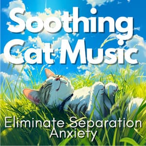 Soothing Cat Music - Eliminate Separation Anxiety - RelaxMyCat