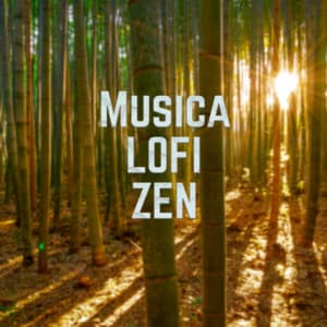 Musica LoFi Zen - Musica Para Ejercicio, Fitness, Y Gimnasio