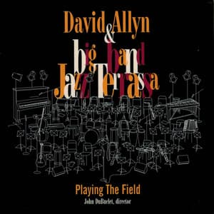 Playing the Field - David Allyn