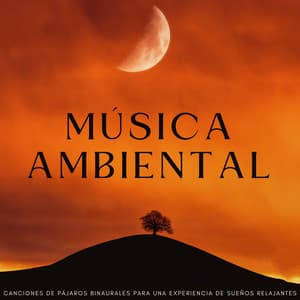 Música Ambiental: Canciones De Pájaros Binaurales Para Una Experiencia De Sueños Relajantes - Canticuenticos