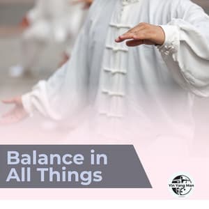 Balance in All Things - Yin Yang Man