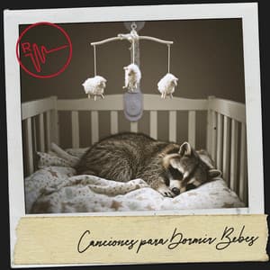 Canciones para Dormir Bebes: Sueño profundo y largo - Música Relajante Para Leer