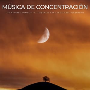 Música De Concentración: Los Mejores Sonidos De Tormentas Para Enfocarse Plenamente - Reiki y Tai Chi Armonía