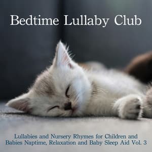 Lullabies and Nursery Rhymes for Children and Babies: Naptime, Relaxation and Baby Sleep Aid, Vol. 3 - Bedtime Lullaby Club