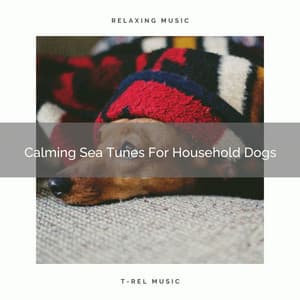 Calming Sea Tunes For Household Dogs - Dog Relax