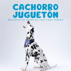 Cachorro Juguetón: Melodías De Piano De Jazz Para Perros - Estado de ánimo de piano