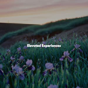 Elevated Experiences - Música Alegre para Cafe
