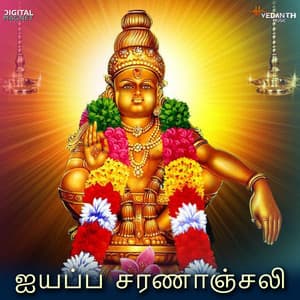 Sri Ayyappa Saranaanjali - M. S. Viswanathan