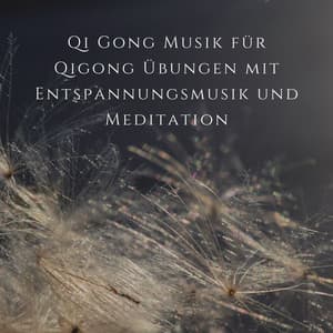 Qi Gong Musik für Qigong Übungen mit Entspannungsmusik und Meditation - Entspannungsmusik Universe