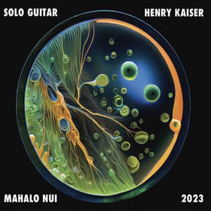 Mahalo Nui - Henry Kaiser