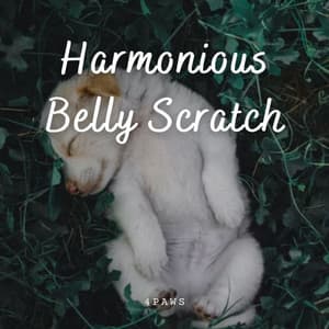 4Paws: Harmonious Belly Scratch - Music for Dogs Radio