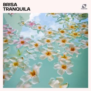 Brisa Tranquila - Musica Reiki