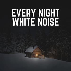 Every Night White Noise - White Noise