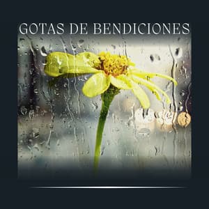 Gotas de Bendiciones - Sonido de lluvia