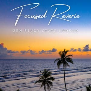 Focused Reverie: Meditative Melodies for Studious Minds - The Noise Project