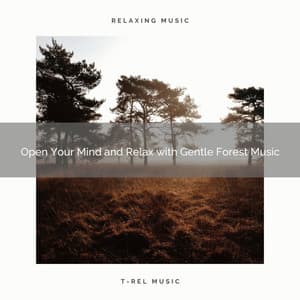 2021 New: Open Your Mind and Relax with Gentle Forest Music - Sleep Songs 101