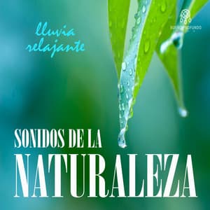 Sonidos de la Naturaleza: Lluvia Relajante - Lluvia Del Bosque