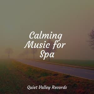 Calming Music for Spa - Nature's Symphony