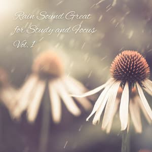 Rain Sound Great for Study and Focus Vol. 1 - Study Time