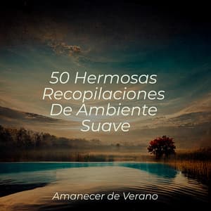 50 Hermosas Recopilaciones De Ambiente Suave - Children's Music