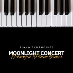 Moonlight Concert: Peaceful Piano Tunes - Piano Symphonies