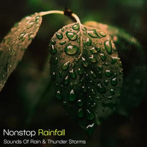 Nonstop Rainfall - Sounds Of Rain & Thunder Storms