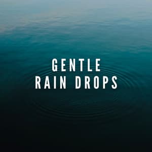 Gentle Rain Drops - Zen Sounds