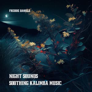 Night Sounds, Soothing Kalimba Music - Freddie Daniels