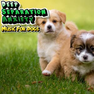 Music For Nervous Stressed Dogs - Deep Separation Anxiety Music For Dogs