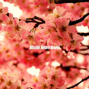 Blissful Nature Groove - Música Suave para Cafés