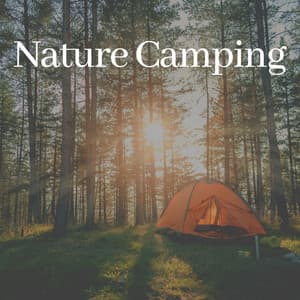 Nature Camping - Sounds Of The Earth