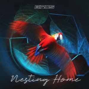 Nesting Home - Birds