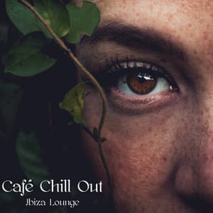 Café Chill Out Ibiza Lounge – Hot Party Summer Music for Beach Café Sunset Party Lounge - Buddha Spirit Ibiza Chillout Lounge Bar Music DJ
