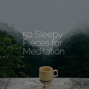 50 Sleepy Pieces for Meditation - Meditação Maestro