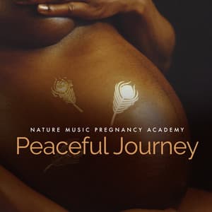 Peaceful Journey - Nature Music Pregnancy Academy