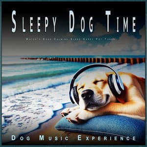 Sleepy Dog Time: Water's Edge Calming Sleep Happy Pet Tones - Dog Music Experience