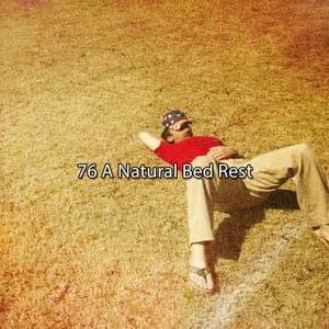 76 A Natural Bed Rest - Chillout Lounge Relax